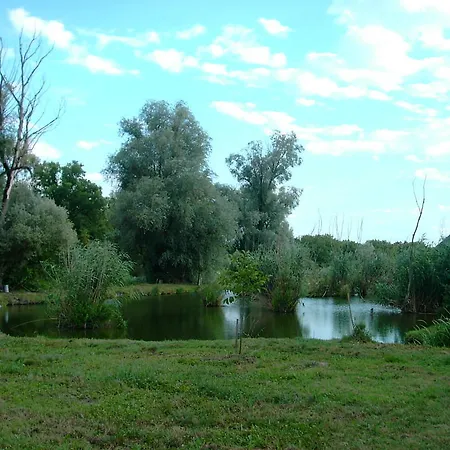 Ocsardi Topanzio Ocsard